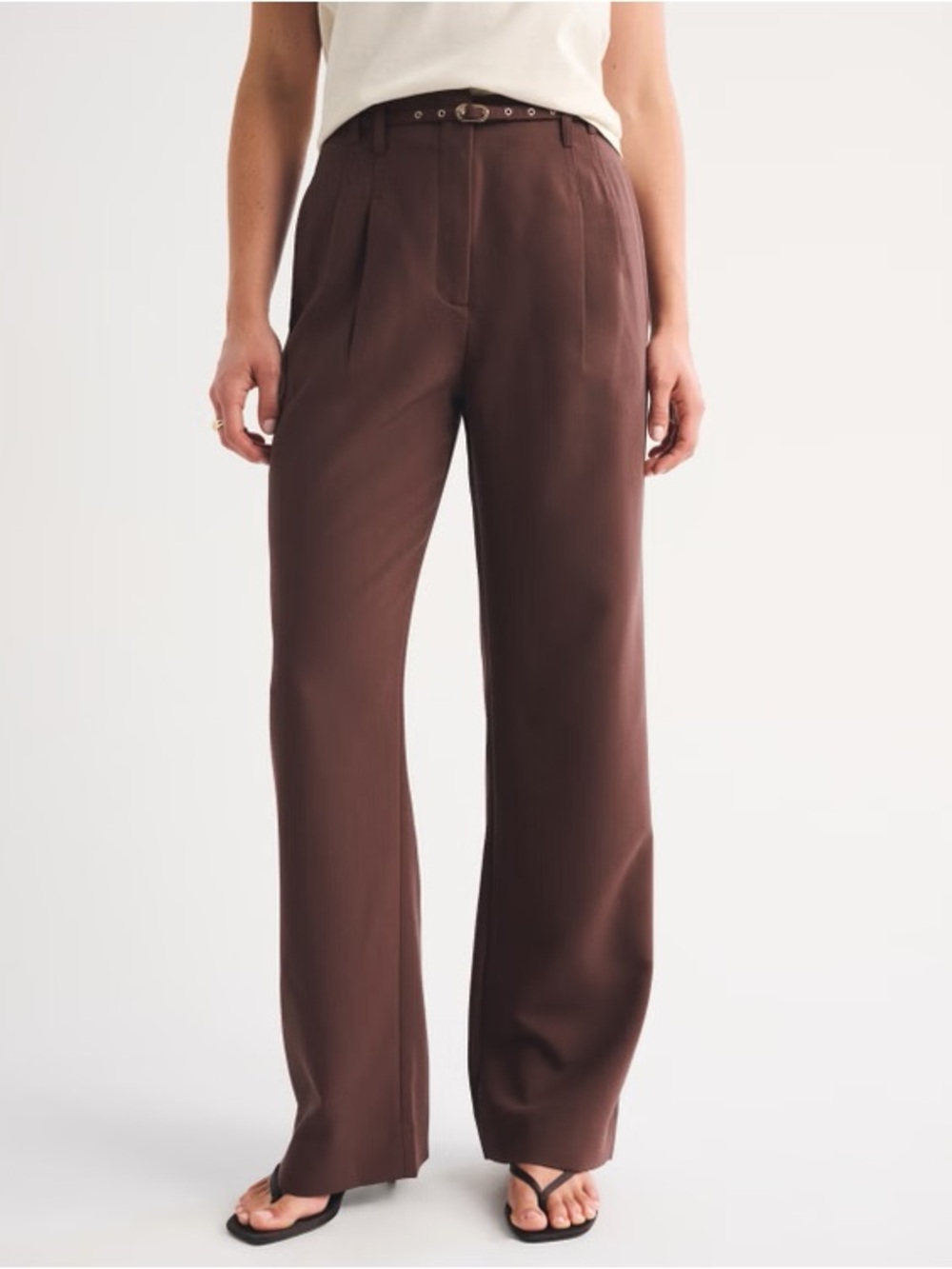 Abercrombie & Fitch Curve Love Chocolate Brown Sloane Dress Pants